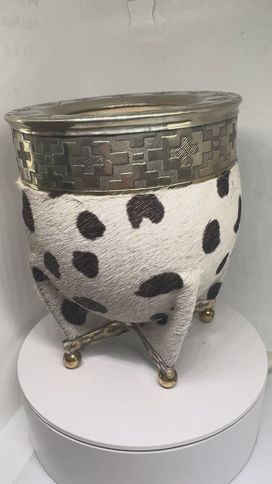 Imperial Design Vaquita 2026